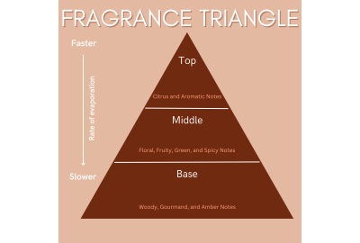 Explaining the Fragrance Triangle