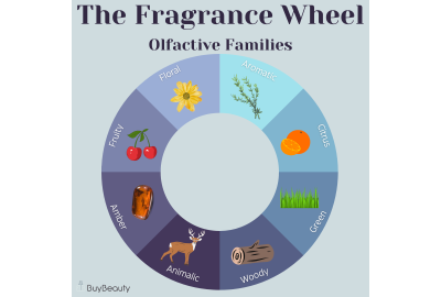 Understanding the Fragrance Wheel